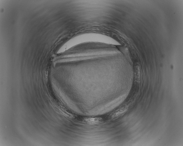 X0000067350558200604281445