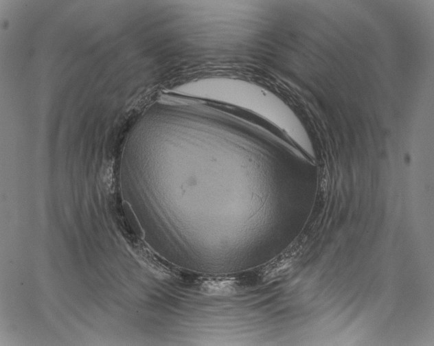 X0000067350560200604281445