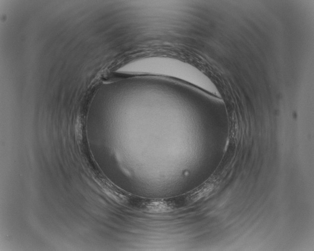 X0000067350562200604281445