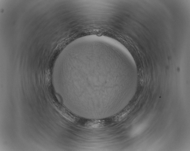 X0000067350563200604281445