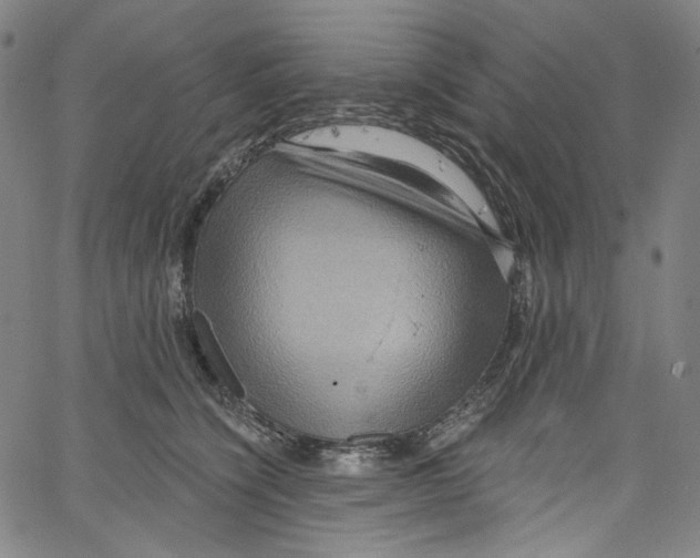 X0000067350564200604281445