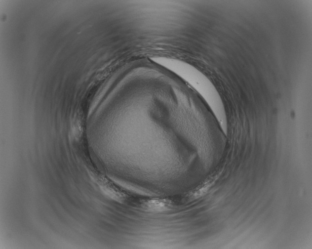 X0000067350566200604281445