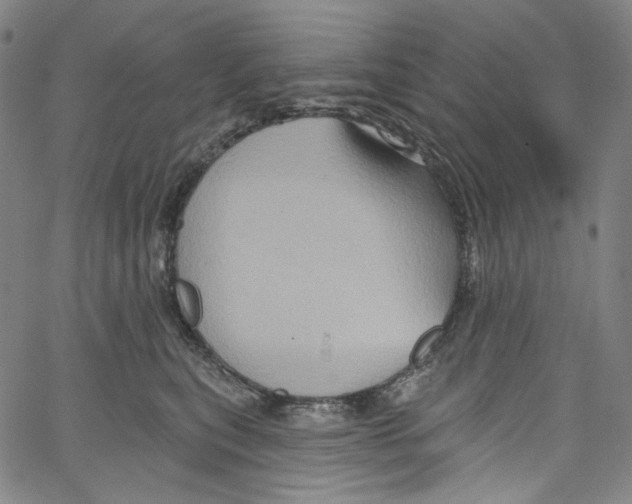 X0000067350567200604281445