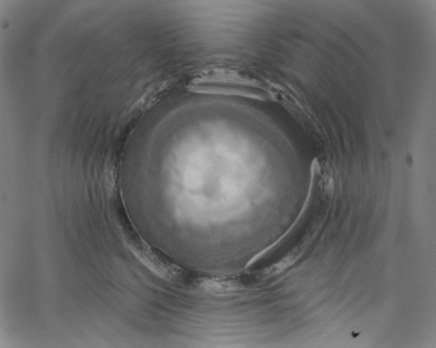 X0000067350568200604281445