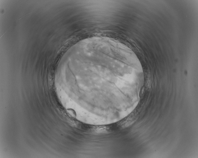 X0000067350569200604281445