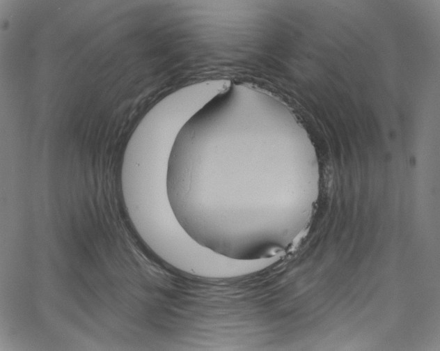 X0000067350570200604281445