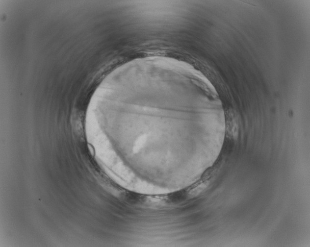 X0000067350573200604281445