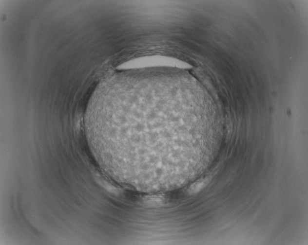 X0000067350574200604281445