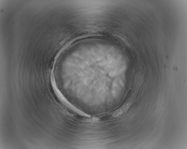 X0000067350576200604281445