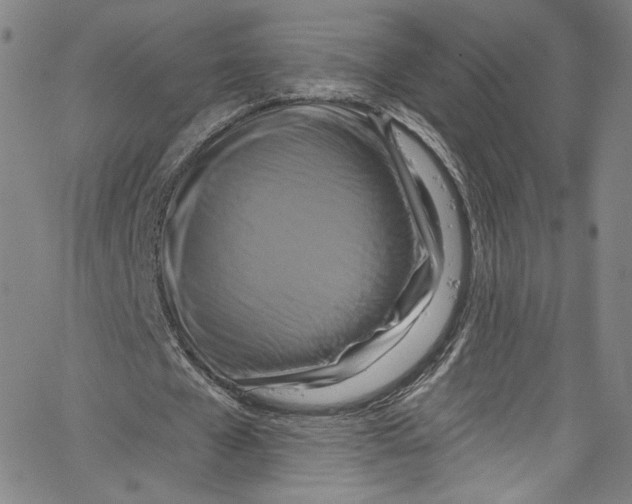 X0000067350577200604281444