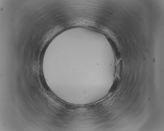 X0000067350578200604281444