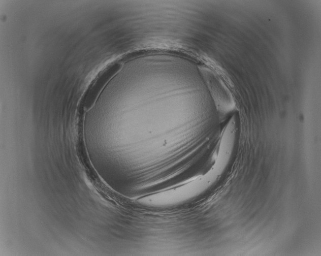 X0000067350580200604281444