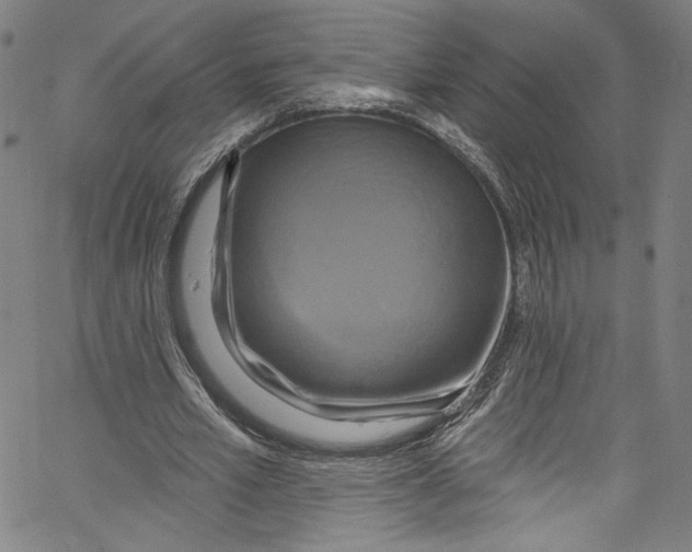 X0000067350581200604281444