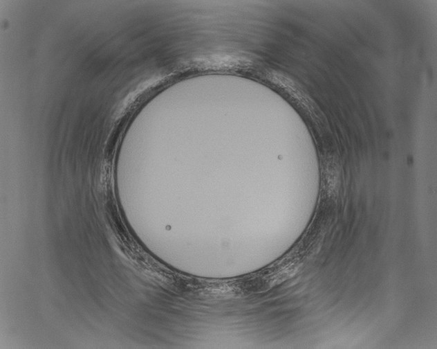 X0000067350583200604281444