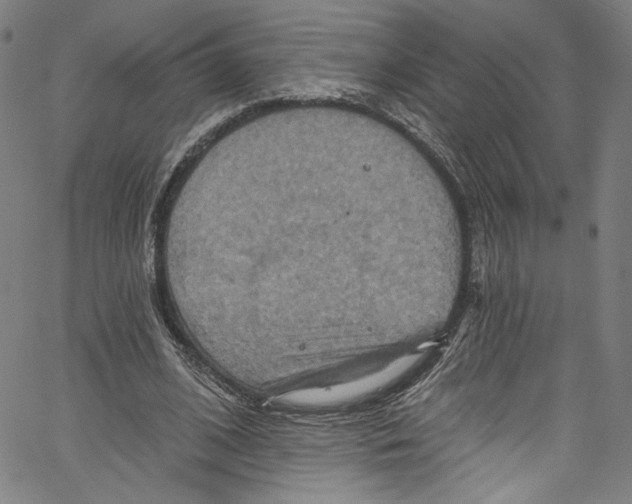 X0000067350584200604281444