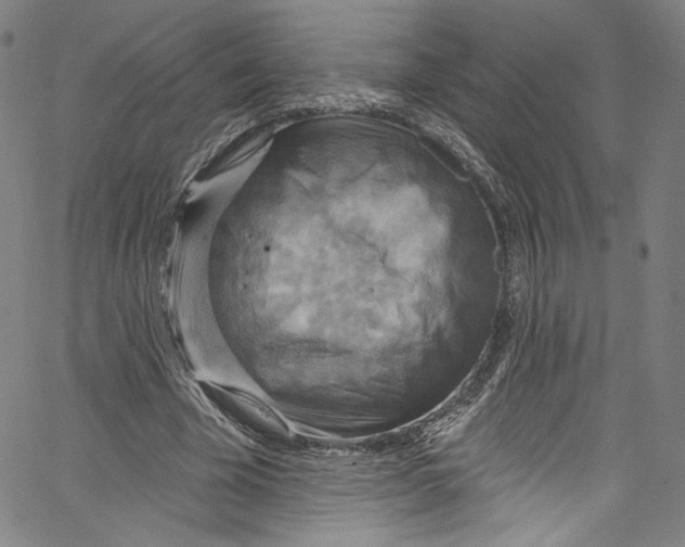 X0000067350585200604281444