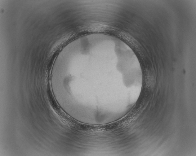 X0000067350586200604281444