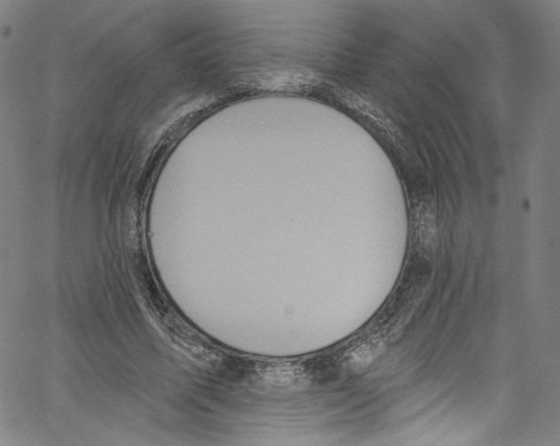 X0000067350587200604281444