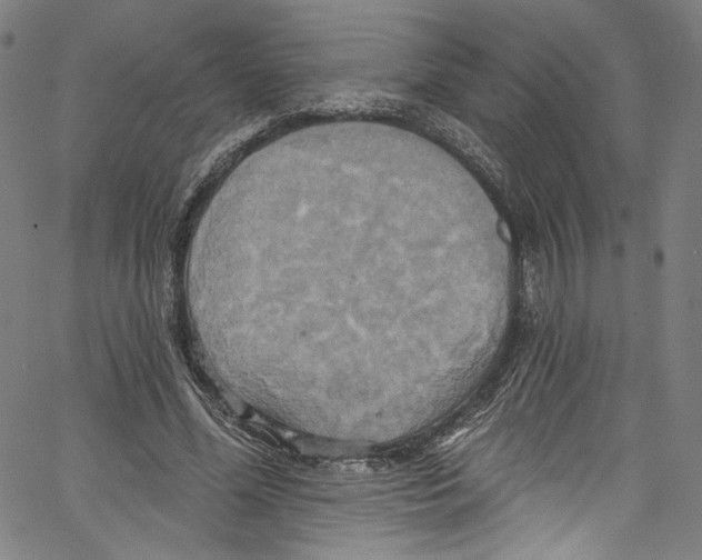 X0000067350588200604281444