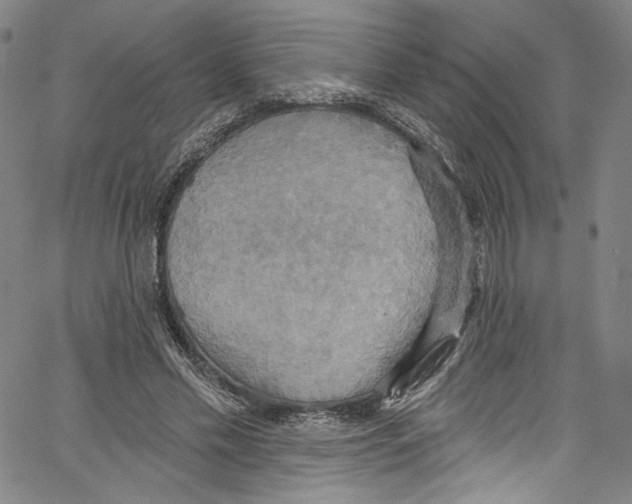 X0000067350589200604281444