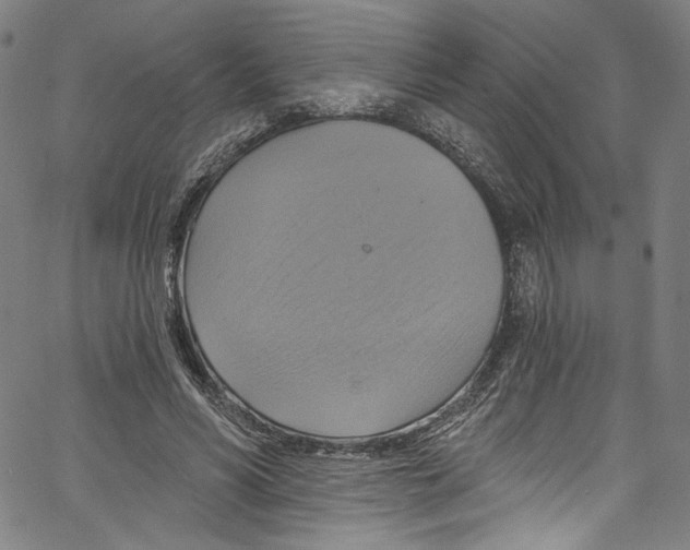 X0000067350590200604281444