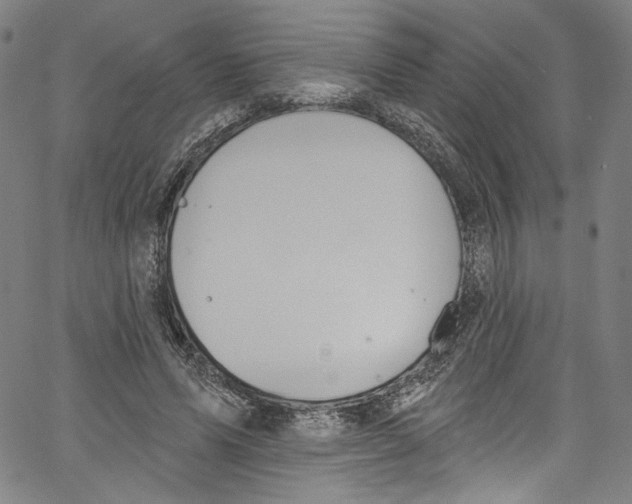 X0000067350591200604281444