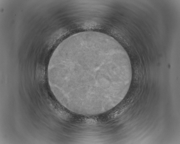 X0000067350592200604281444