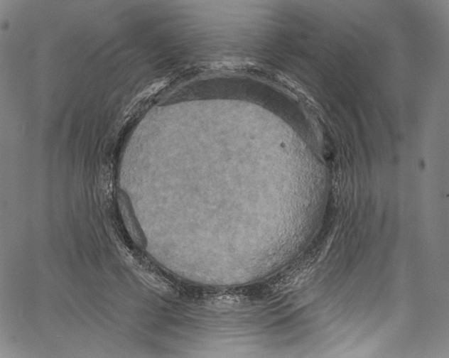 X0000067350593200604281444