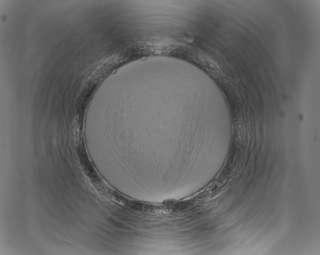 X0000067350594200604281444