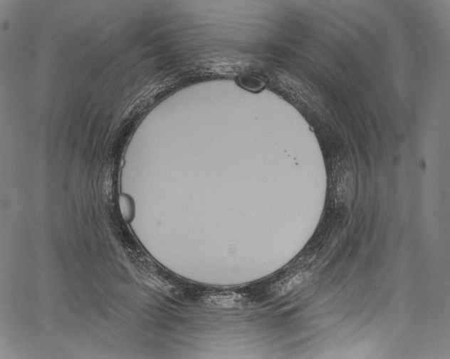 X0000067350595200604281444