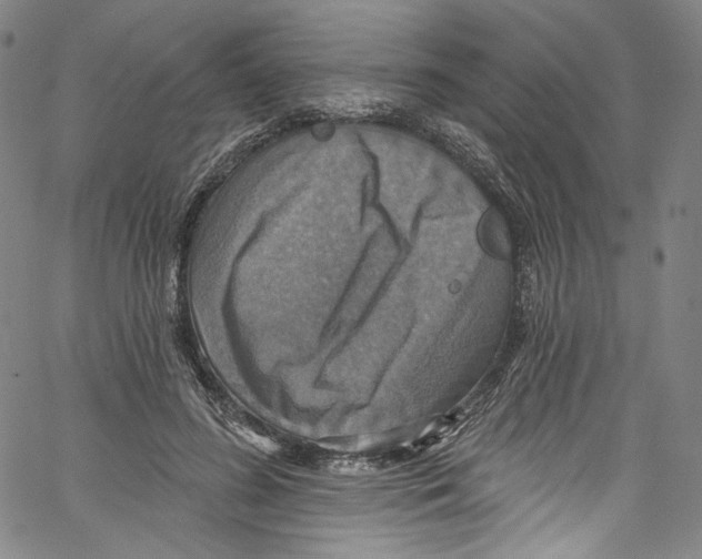 X0000067350596200604281444