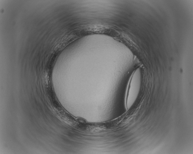 X0000067350597200604281444