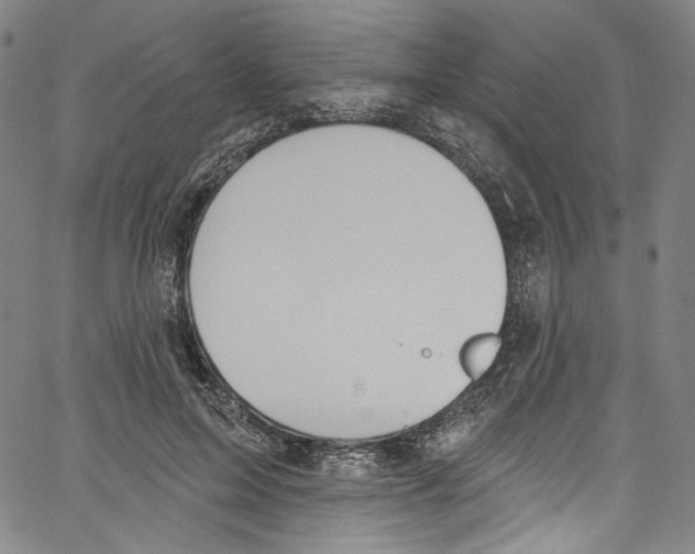 X0000067350599200604281444