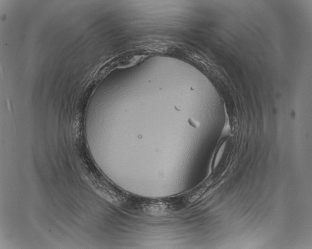 X0000067350600200604281444