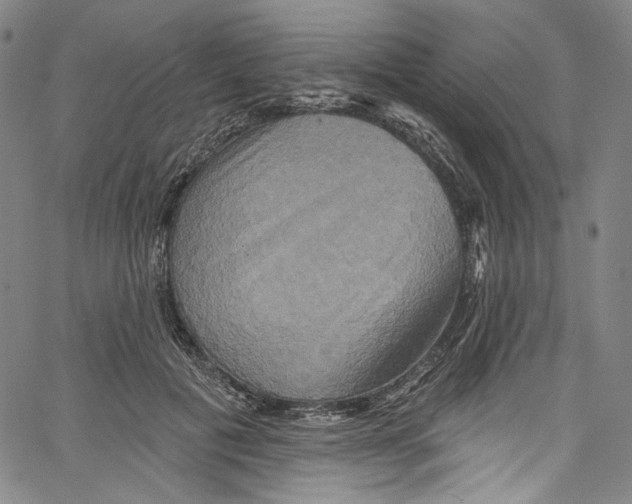 X0000067350601200604281444