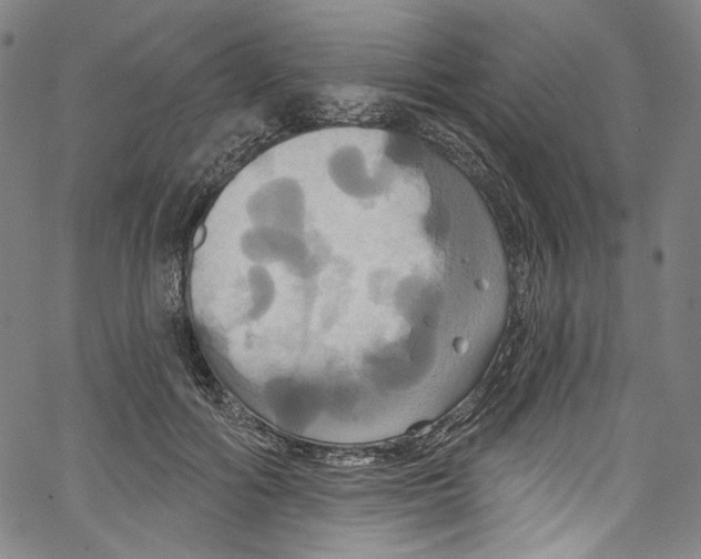 X0000067350602200604281444