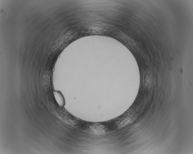 X0000067350603200604281444