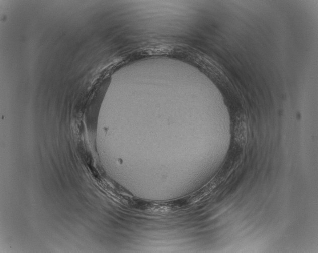 X0000067350604200604281444