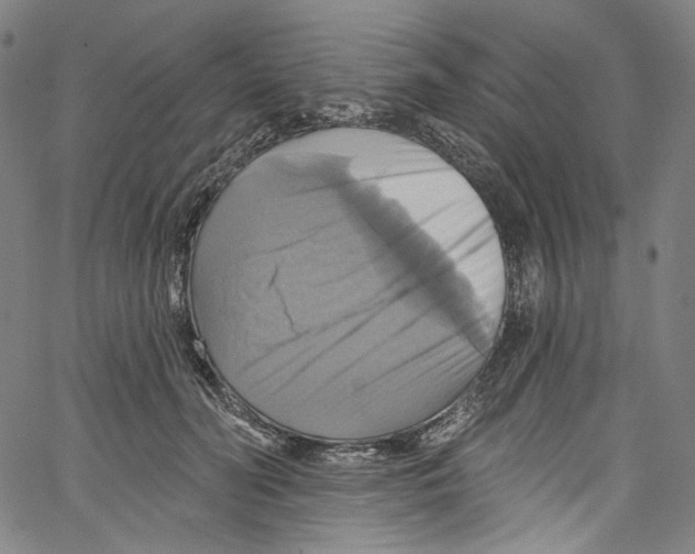 X0000067350606200604281444