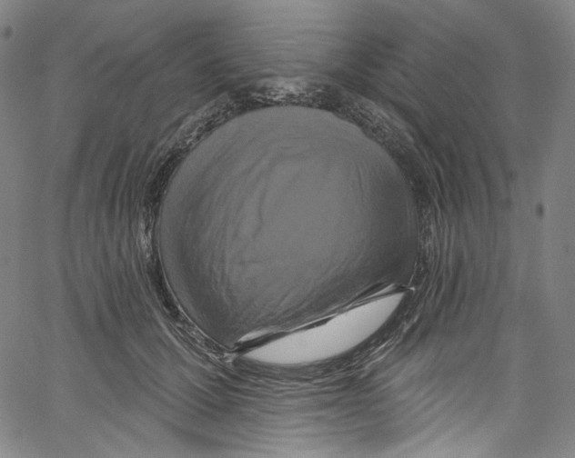 X0000067350607200604281444