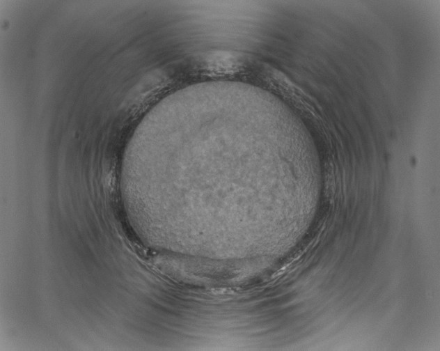 X0000067350608200604281444