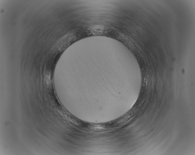 X0000067350610200604281444