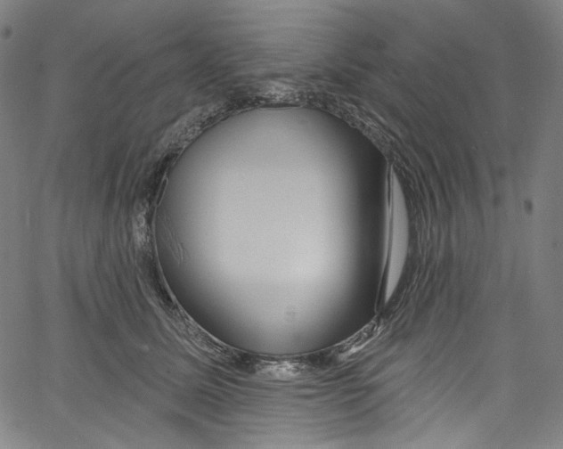 X0000067350611200604281444