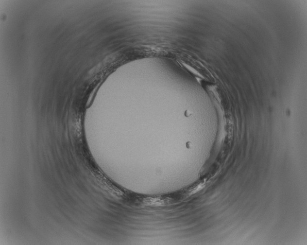 X0000067350613200604281443