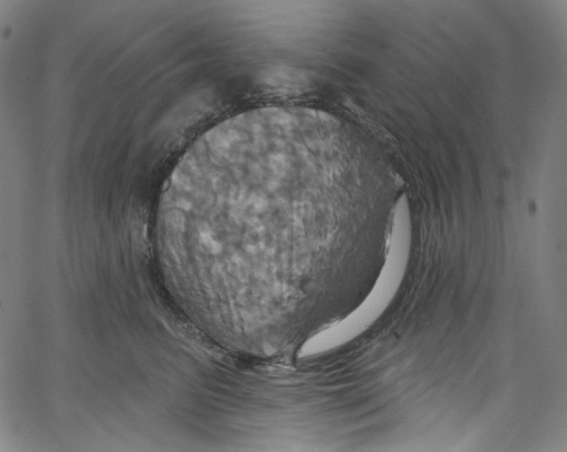 X0000067350615200604281443