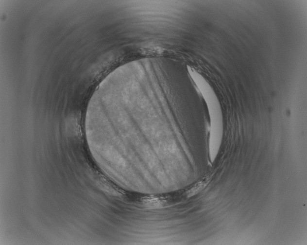 X0000067350616200604281443