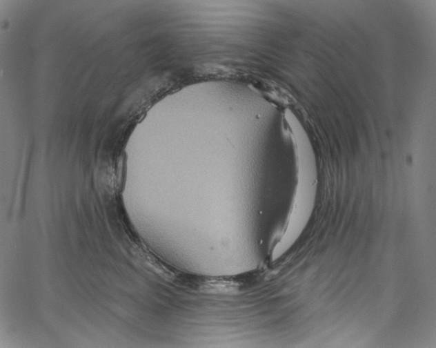 X0000067350617200604281443