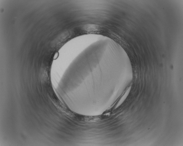 X0000067350618200604281443