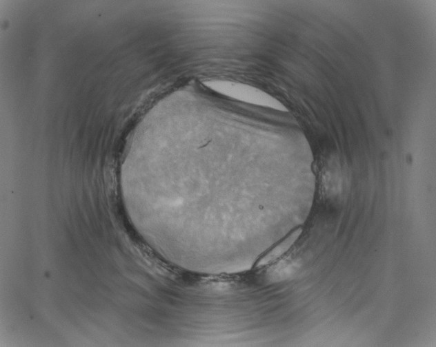 X0000067350620200604281443