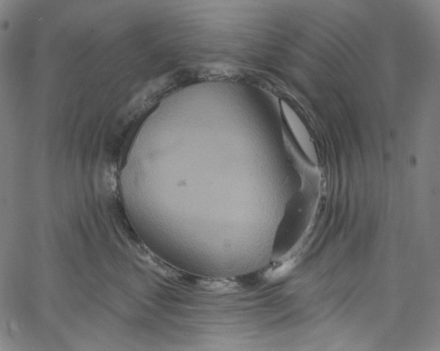 X0000067350621200604281443